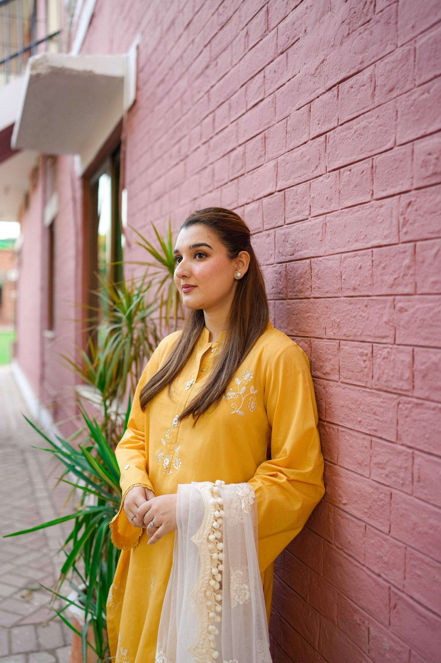 Rs 5000 Aneelas Stitched Lawn Emb 2pc [SL-01] [Dispatch time 2 Months]