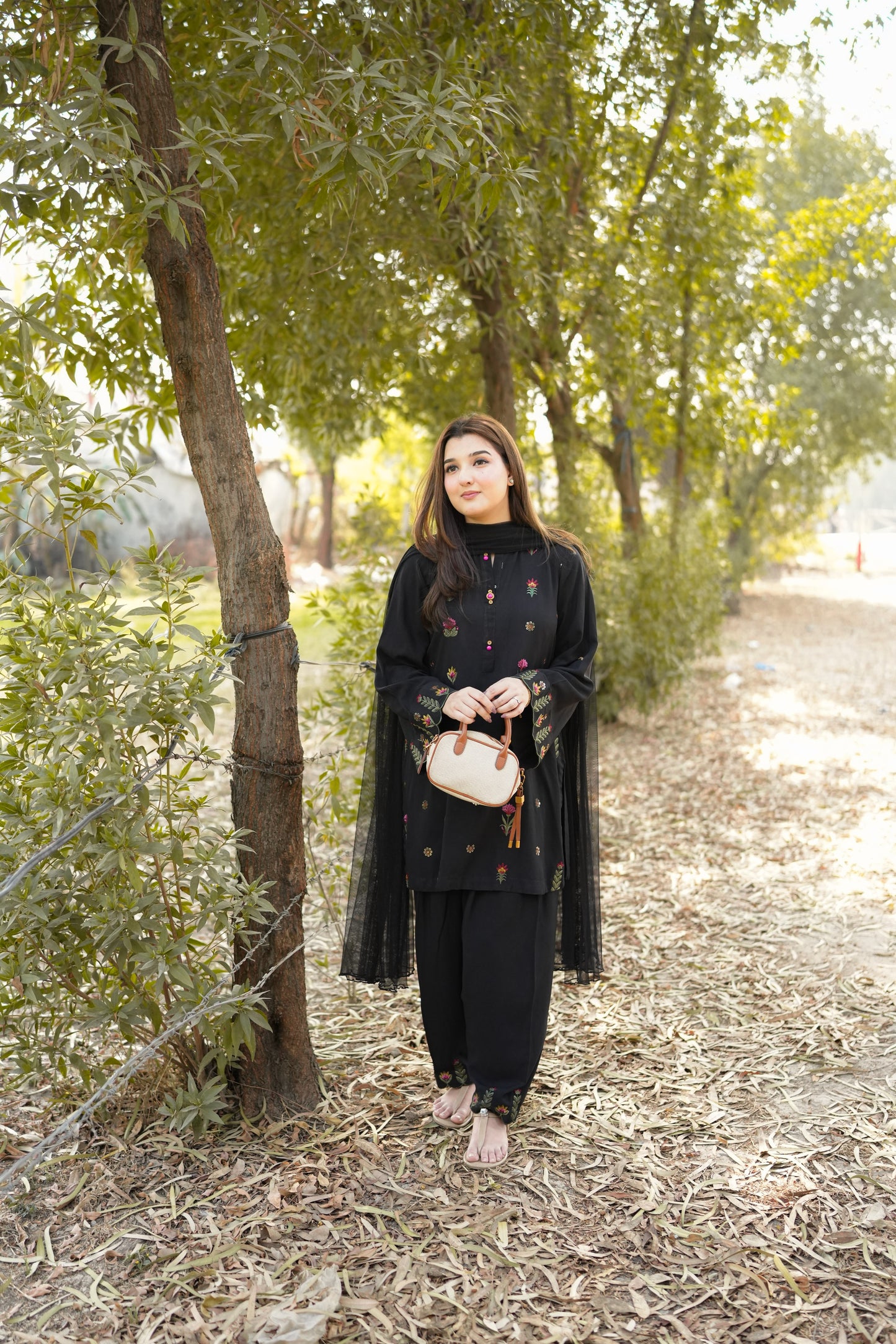 Rs 6500 Aneelas Stitched Lawn Emb 2pc [SL-04] [Dispatch Time 2 Months]